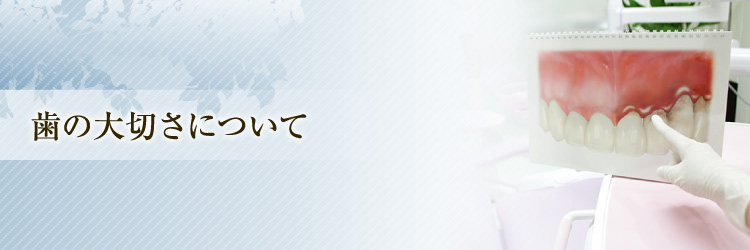 歯の大切さについて
